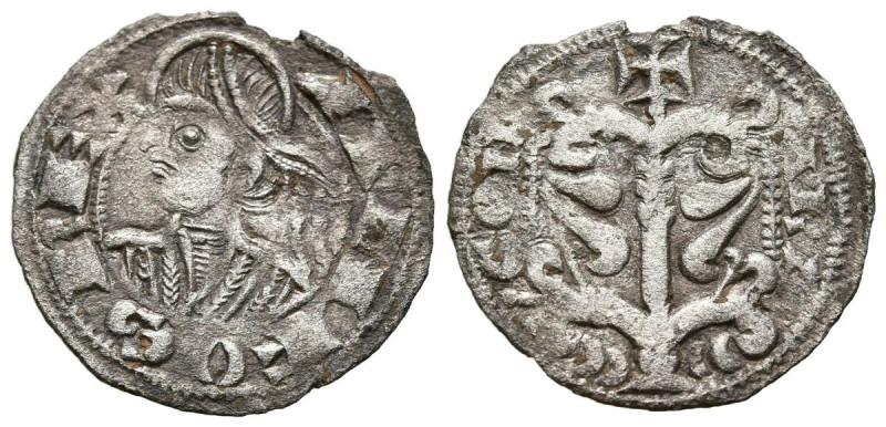 ALFONSO I (1165-1196). Dinero. (Ve. 0,96g/19mm). Aragón. (Cru.V.S. 298). Anv: Bu...