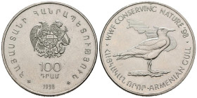 ARMENIA. 100 Dram (Cu-Ni. 28,32g/39mm). 1998. WW Conservación de la Naturaleza: Gaviota plateada armenia. SC.