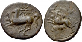 SICILY. Syracuse. Dionysios II (367-357 BC). Ae Tetras(?). "Kainon" issue.