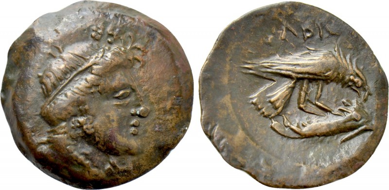 SKYTHIA. Olbia. Ae (Circa 380-360 BC). 

Obv: Head of Demeter right, wearing g...