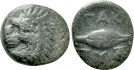 THRACE. Chersonesos. Paktye. Ae (Circa 386-309 BC).