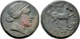 AEOLIS. Kyme. Ae (Circa 250-200 BC). Pythas, magistrate.