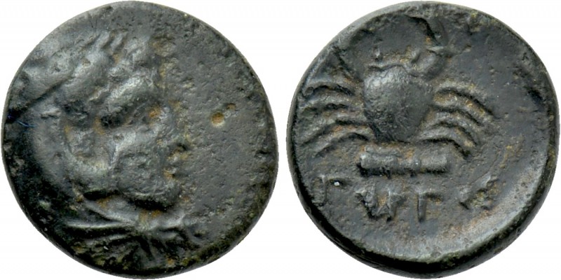 CARIA. Kos. Ae (Circa 250-210 BC). Gyrgio-, magistrate. 

Obv: Head of Herakle...