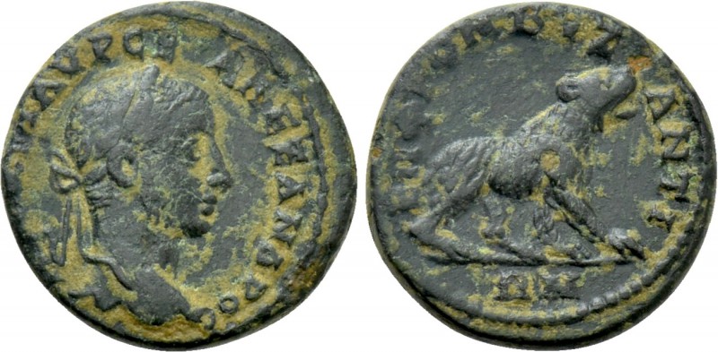 THRACE. Byzantium. Severus Alexander (222-235). Ae. Frontos, magistrate.

Obv:...