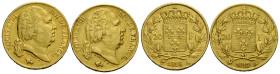 Königreich und Republik / Kingdom and Republic
Louis XVIII. 1814-1824 20 Francs 1817/1818 21.0 mm. Gold. Ludwig XVIII. Friedberg 538. 2 Expl. 6.45 g....