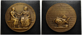 Paris III Republik 1870-1940
 Bronzemedaille / Bronze medal 1884 67.0 mm. Sekundarschulunterricht für Mädchen / Secondary education for young girls. ...