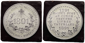 Medaillen / Medals
 Weissmetallmedaille / White metal medal 1891 37.6 mm. Der Lieben Schweizer Jugend zur Erinnerung an die Bundesfeier. Switzerland....