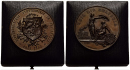 Schützentaler & Schützenmedaillen / Shooting talers & Shooting medals Thurgau / Thurgovia
 Kupfermedaille / Copper medal 1890 45.0 mm. Frauenfeld. Sc...