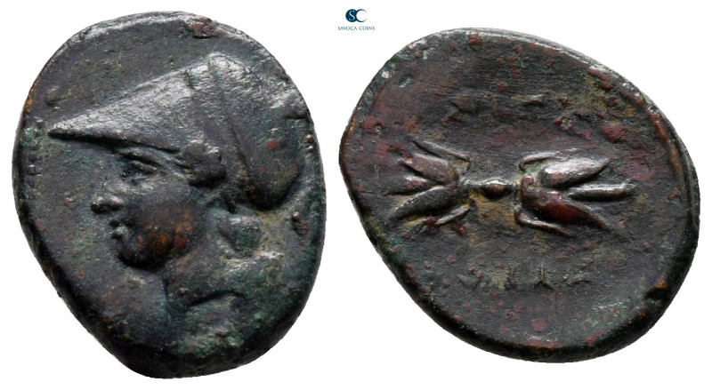 Sicily. Syracuse. Agathokles 317-289 BC. 
Bronze Æ

16 mm, 2,10 g



good...