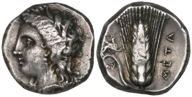 Italy, Lucania, Metapontum, stater, c. 350-300 BC, wreathed head of Demeter left, rev., ear of barley; small griffin and AY on left, 7.93g (Johnson C6...