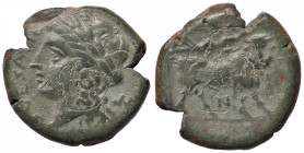 GRECHE - CAMPANIA - Suessa Aurunca - AE 20 Mont. 970/2 (AE g. 6,43)
BB