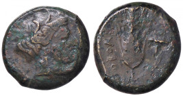 GRECHE - LUCANIA - Metaponto - AE 21 (AE g. 9,21)
meglio di MB
