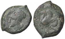 GRECHE - SICILIA - Siracusa (425-IV sec. a.C.) - Litra Mont. 5078; S. Ans. 434 (AE g. 9,07)
BB+