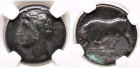 GRECHE - SICILIA - Siracusa - Agatocle (317-289 a.C.) - AE 17 (AE g. 3,34) Sigillata CCG VF35
BB