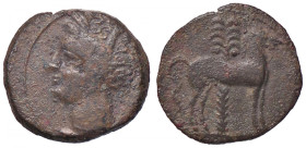 GRECHE - SICILIA - Siculo-Puniche - AE 17 Mont. 5543; S. Cop. 1002 (AE g. 3,27)
BB+