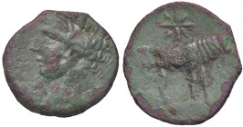 GRECHE - SARDEGNA - Sardo-Puniche - AE 18 (AE g. 3,15)
qBB