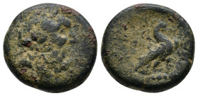Kings of Macedon. Ptolemy Keraunos 281-279 BC. AE 8,48g