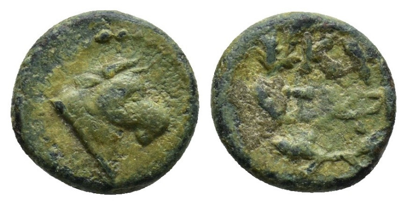 Mysia, Kyzikos. 2nd-1st centuries BC. AE 1,58gr. Head of bull right. / Monogram ...