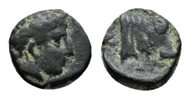 Uncertain greek coin ca. 200 BC. Head of Apollo right / Forepart of a bull right. AE 0,65g