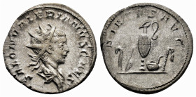 Saloninus, as Caesar 258-260 AD. Lugdunum. SALON VALERIANVS CAES, radiate, draped bust of Saloninus right / PIETAS AVG, lituus, secespita, oinochoe, s...