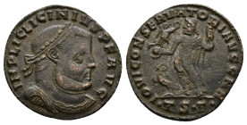 Licinius I. A.D. 308-324. AE 3,28g