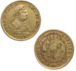 1813. Fernando VII (1808-1833). Madrid. 2 escudos. GJ. A&C 1610. Au. 6,79 g. Atractiva. Restos de brillo original. MBC+ / MBC. Est.550.