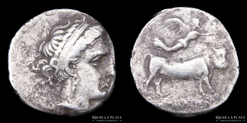 Neapolis, Campania (320-300AC) AR Nomos. 20.3mm; 7.00g A: Cabeza de ninfa a dere...