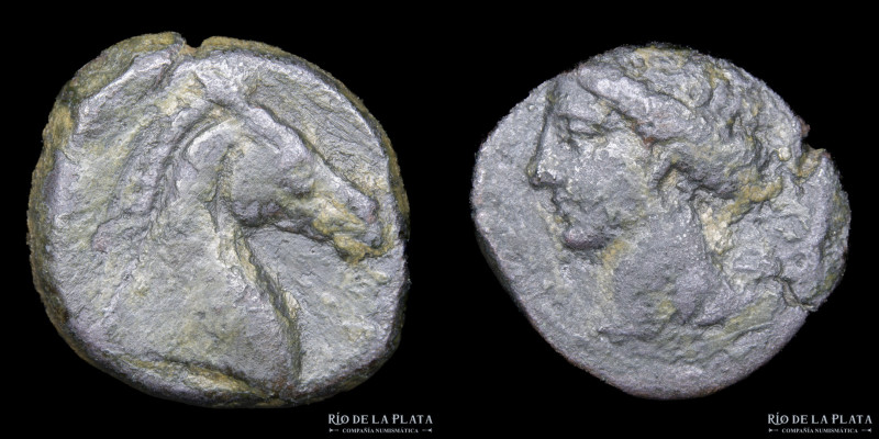 Zeugitania, Cartago (300-264AC) AE Unidad. 19.2mm; 5.29g. A: Cabeza de Tanit a i...