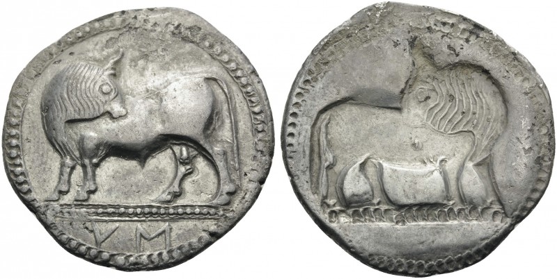 LUCANIA. Sybaris . Circa 550-510 BC. Stater (Silver, 28 mm, 7.89 g, 12 h). VM Bu...