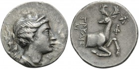 IONIA. Ephesos . Circa 245-202 BC. Didrachm (Silver, 22 mm, 6.51 g, 1 h), Gryllis. Diademed bust of Artemis to right, bow and quiver behind her should...