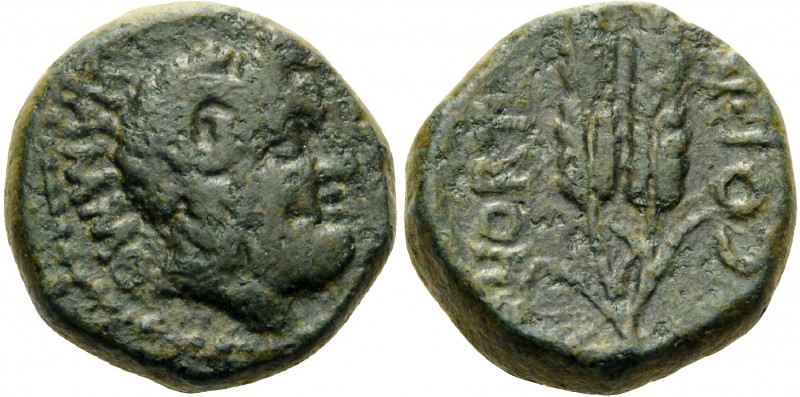 MACEDON. Cassandrea . Quintus Hortensius Hortalus, proconsul, 43-42 BC. (Bronze,...