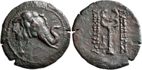 BAKTRIA, Greco-Baktrian Kingdom. Demetrios I, circa 200-185 BC. AE (Bronze, 30 mm, 11.97 g, 12 h), Baktra. Head of an elephant to right, wearing bell ...