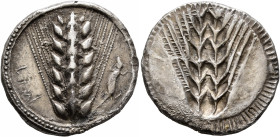 LUCANIA. Metapontion. Circa 510-470 BC. Stater (Silver, 23 mm, 8.08 g, 12 h). ΜΕΤ Ear of barley with seven grains; to right, lizard. Rev. Ear of barle...