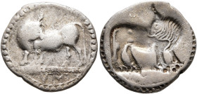LUCANIA. Sybaris. Circa 550-510 BC. 1/3 Stater or Drachm (Silver, 18 mm, 2.47 g, 12 h). VM Bull standing left on dotted ground line, his head turned b...