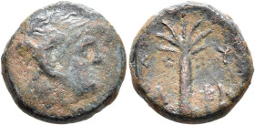KYRENAICA. Kyrene. Magas, as King of Kyrene, circa 282/75-250 BC. AE (Bronze, 16 mm, 5.18 g, 12 h). Bearded head of Zeus-Ammon to right, with ram's ho...