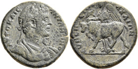 PHRYGIA. Eumeneia. Antoninus Pius, 138-161. Triassarion (Bronze, 25 mm, 10.12 g, 12 h). AYTO KAIC ANTΩNЄINOC Laureate and cuirassed bust of Antoninus ...