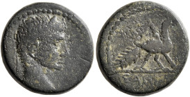 ISLANDS OFF IONIA, Samos. Augustus, 27 BC-AD 14. Assarion (Bronze, 16 mm, 4.73 g, 12 h). Laureate head of Augustus to right. Rev. ΣΑΜΙ[ΩΝ] Peacock sta...