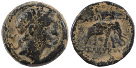 SELEUKID KINGS of SYRIA. Seleukos II Kallinikos, 246-226 BC. Ae (bronze, 6.06 g, 23 mm), Ekbatana. Diademed head of Seleukos II to right. Rev. ΒΑΣΙΛΕΩ...