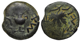 JUDAEA. First Jewish War. 66-70 AD. Prutah (bronze, 2.01 g, 17 mm), Year 2 = 67/8. Amphora. Rev. Vine leaf on branch with tendril. Hendin 1360. Meshor...