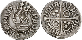 Ferran II (1479-1516). Barcelona. Croat. (Cru.V.S. 1139) (Cru.C.G. 3068a). Ex M. Sisó 28/06/1986. 3,10 g. MBC.