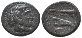 Greek Coins. 4th - 3rd century B.C. AE
Reference:

Condition: Very Fine

Weight: 5.8 gr
Diameter: 19.8 mm