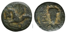 Greek Coins. 4th - 3rd century B.C. AE
Reference:

Condition: Very Fine

Weight: 0.9 gr
Diameter: 10.3 mm