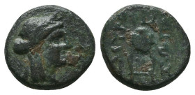 Greek Coins. 4th - 3rd century B.C. AE
Reference:

Condition: Very Fine

Weight: 1.5 gr
Diameter: 11 mm