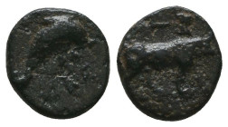 Greek Coins. 4th - 3rd century B.C. AE
Reference:

Condition: Very Fine

Weight: 0.8 gr
Diameter: 11 mm