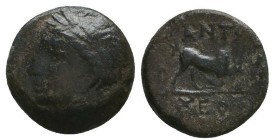 Greek Coins. 4th - 3rd century B.C. AE
Reference:

Condition: Very Fine

Weight: 1.4 gr
Diameter: 12.2 mm