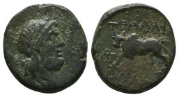 Greek Coins. 4th - 3rd century B.C. AE
Reference:

Condition: Very Fine

Weight: 2.7 gr
Diameter: 16.3 mm
