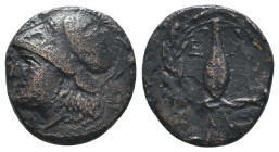 Greek Coins. 4th - 3rd century B.C. AE
Reference:

Condition: Very Fine

Weight: 2.7 gr
Diameter: 16.2 mm