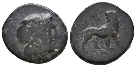 Greek Coins. 4th - 3rd century B.C. AE
Reference:

Condition: Very Fine

Weight: 3.6 gr
Diameter: 17.9 mm