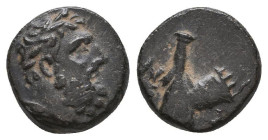 Greek Coins. 4th - 3rd century B.C. AE
Reference:

Condition: Very Fine

Weight: 1.6 gr
Diameter: 11.3 mm