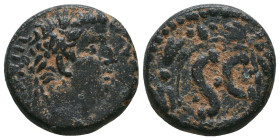 Tiberius Ae As of Antioch, Seleucis and Pieria. AD 14-37. 
Reference:

Condition: Very Fine

Weight: 7.2 gr
Diameter: 19.5 mm